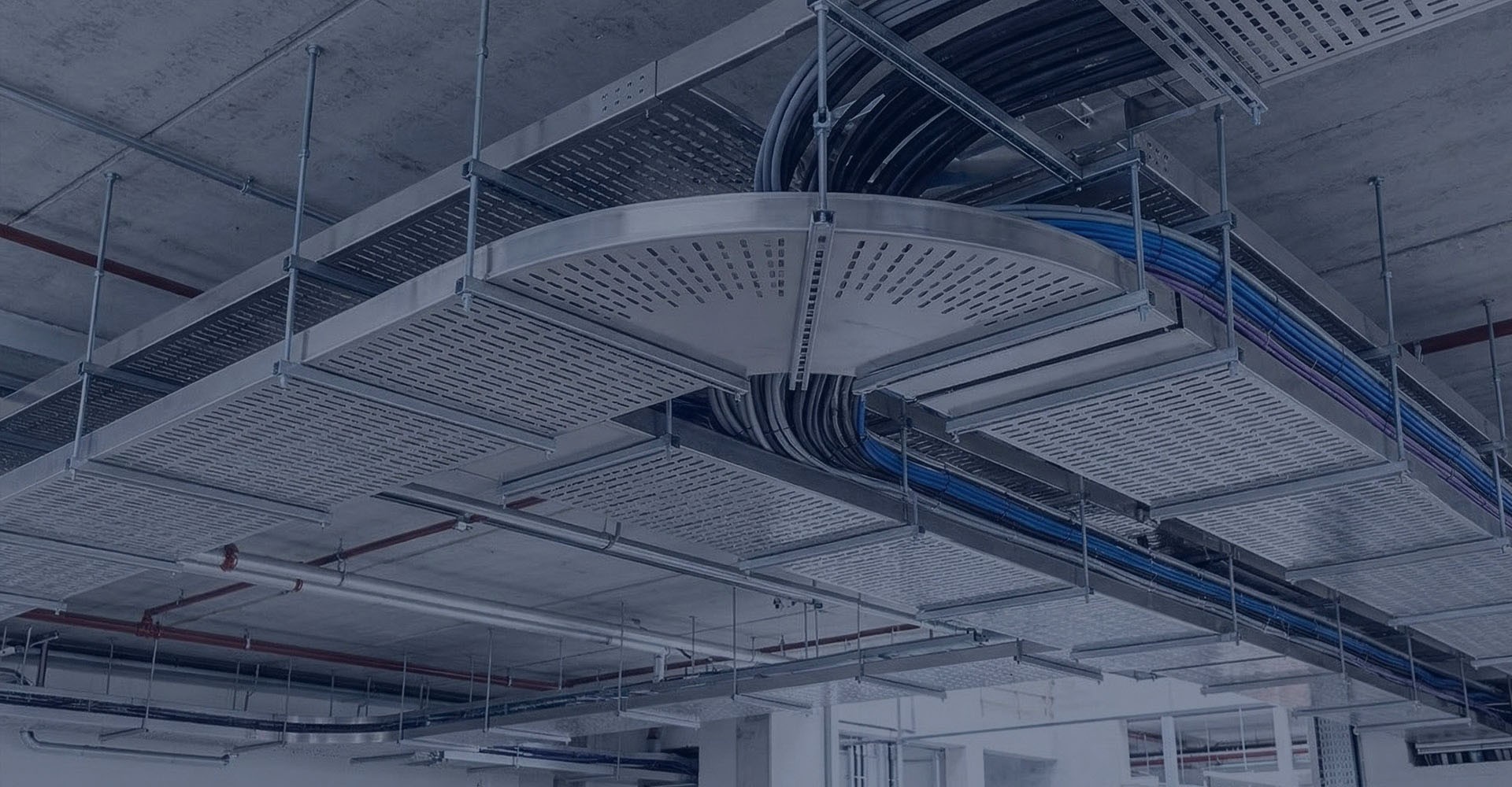 Trusted by Global Enterprises & Contractors